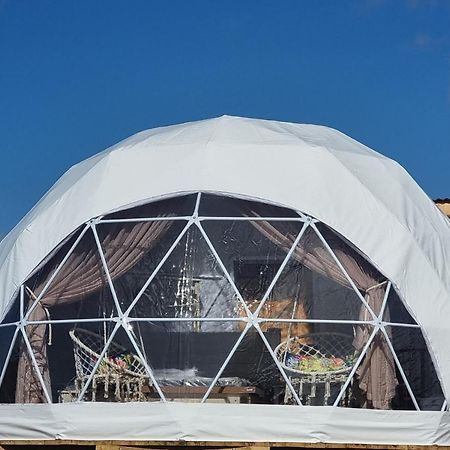 Pom Gratz - Ecodomes Hotel Hartebeesrivier Eksteriør billede