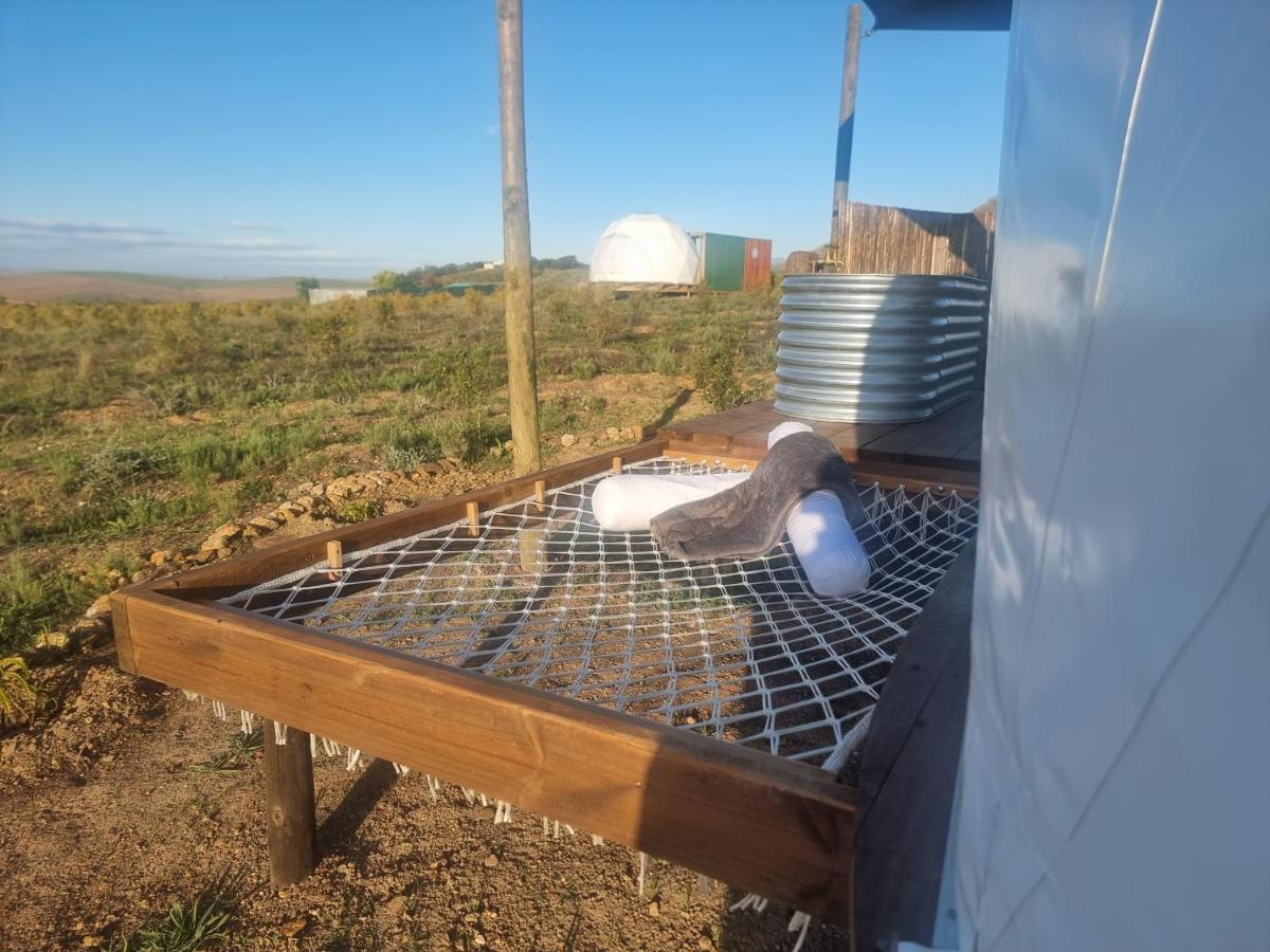 Pom Gratz - Ecodomes Hotel Hartebeesrivier Eksteriør billede