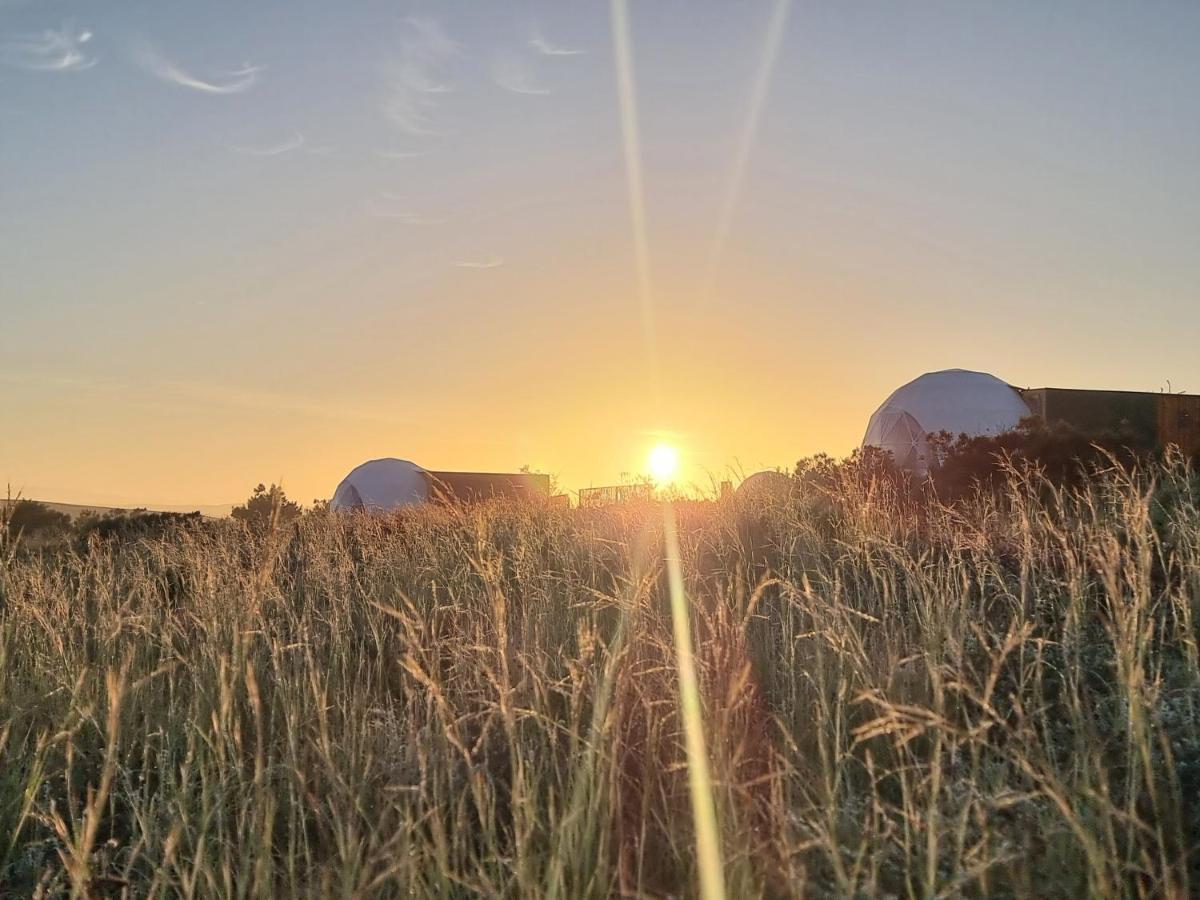 Pom Gratz - Ecodomes Hotel Hartebeesrivier Eksteriør billede