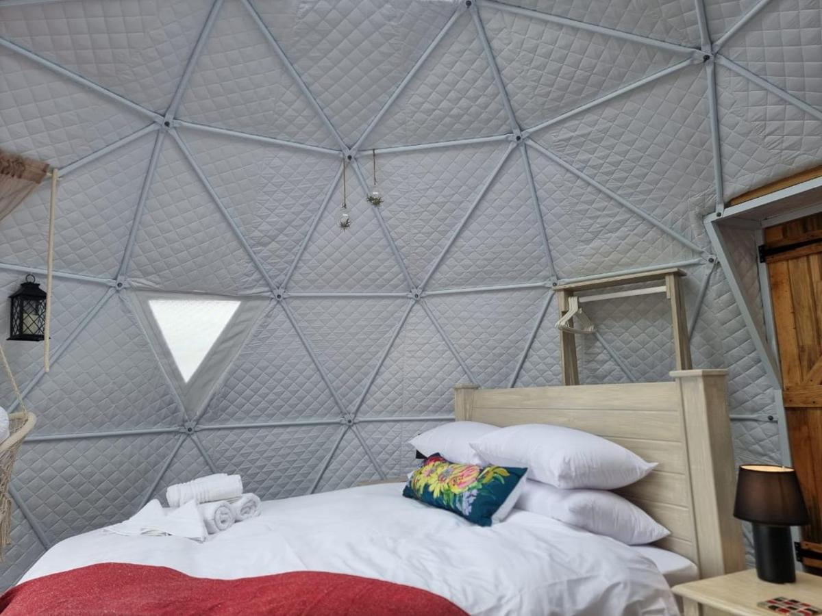 Pom Gratz - Ecodomes Hotel Hartebeesrivier Eksteriør billede