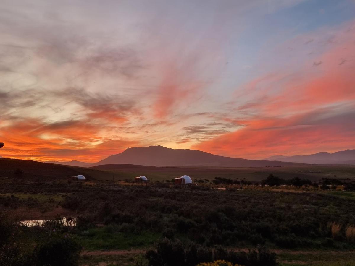 Pom Gratz - Ecodomes Hotel Hartebeesrivier Eksteriør billede