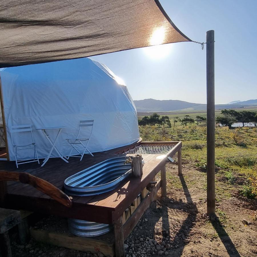 Pom Gratz - Ecodomes Hotel Hartebeesrivier Eksteriør billede