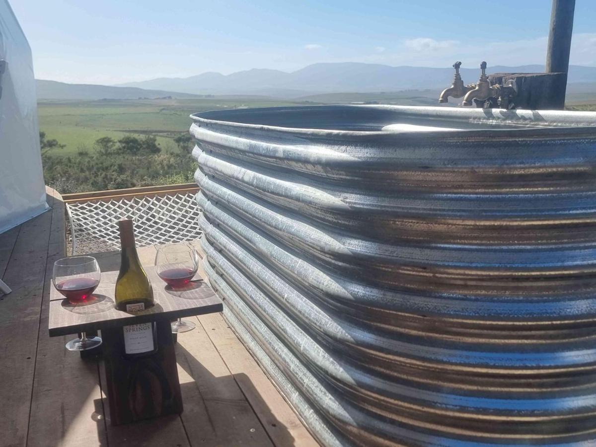 Pom Gratz - Ecodomes Hotel Hartebeesrivier Eksteriør billede