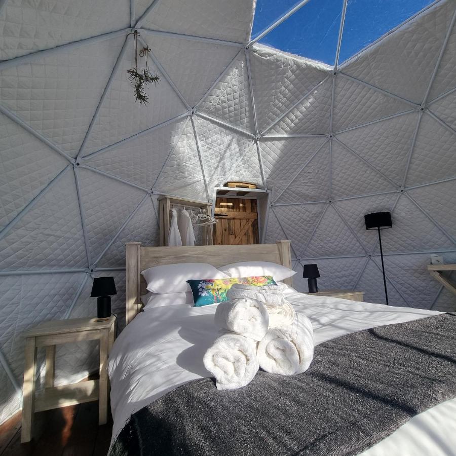 Pom Gratz - Ecodomes Hotel Hartebeesrivier Eksteriør billede