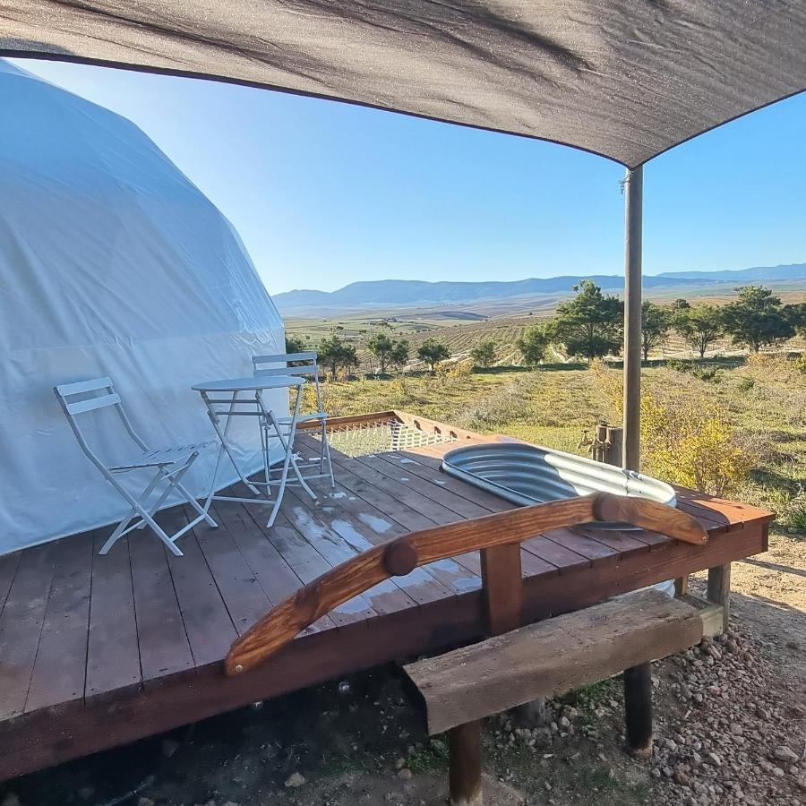 Pom Gratz - Ecodomes Hotel Hartebeesrivier Eksteriør billede