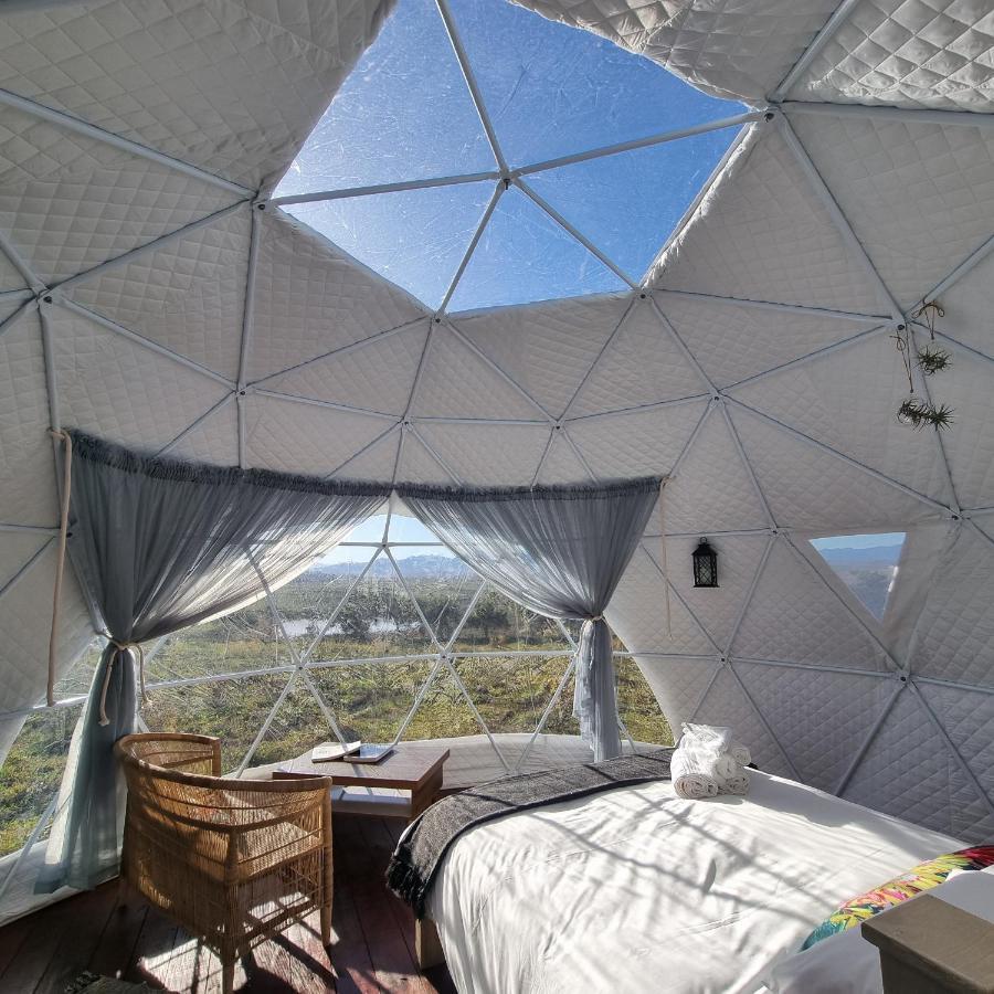 Pom Gratz - Ecodomes Hotel Hartebeesrivier Eksteriør billede